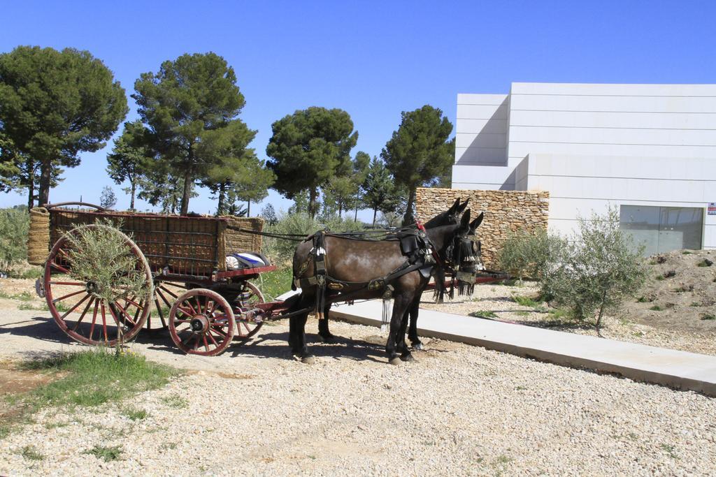 Villa Luz de Alba Argamasilla de Alba Exterior foto